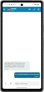 States Dating - USA Chat preview 7